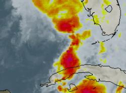 Tropical storm 'Barry' forms in Gulf